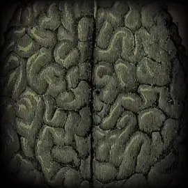 Gastar dinero #dinero #psicologia #zxycba #pensamientos #gastar 