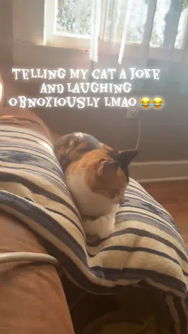 I don’t think she cared lmao 😂 #trend #fyp #cat #Milliebob 