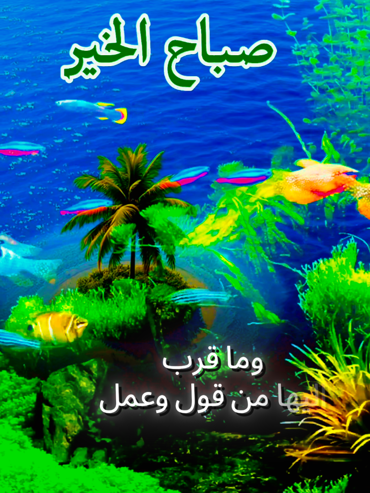 #صباح_الخير_السعادة_والعافيه #فيرال_فيديوفوريو #تيك_توك #❤️❤️❤️❤️❤️❤️❤️❤️❤️ 