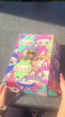 💗💐✨!! #labubu #StanleyCup #stanley #fyp #viral @Stanley Brand !!! @Henrystationaryshop 