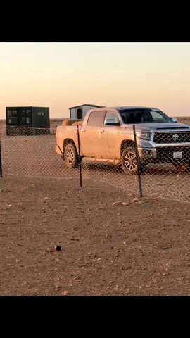 #السلك #فاخري_من_برقه✌️ #الذباح✊🏻🖤 #سلوق_بنغازي_ليبيا_طبراق_🔥👌🏽🦅 