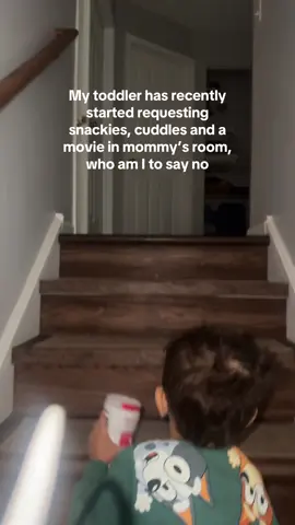 #motherhood #toddlerhood #toddlersoftiktok 