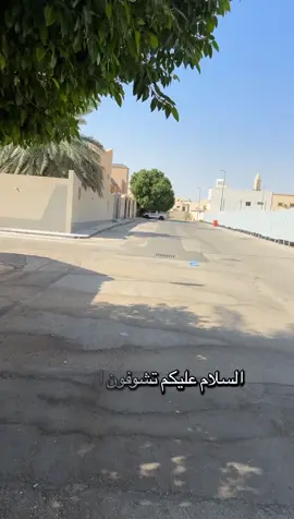 ‫ابو بسام يقول 10 دقايق وانا بالشارع اشرح لك كيف تغرس الشجرة قدام السور ولا تسبب مشاكل للرصيف والخزان، الله يجزاك خير يا بو بسام ويكثر أمثالك ويرحم والديك 🥰‬ ‫شرح كافي وافي 🤙🏻✋‬