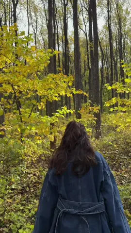 Now is the time to go- if you scroll down you’ll see my reel from last year which was a bad time to go #shenandoah #shenandoahnationalpark #foryoupage #parks #fall