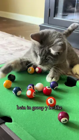 Group 7 is where it’s at.