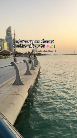 🌸🍃 #uae🇦🇪 #uaebd🇧🇩🇦🇪 #unfrezzmyaccount #pageforyou #loveyou 