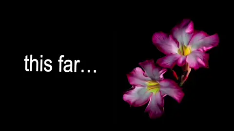 needy #arianagrande #lyrics #foryou #viral #editaudio 