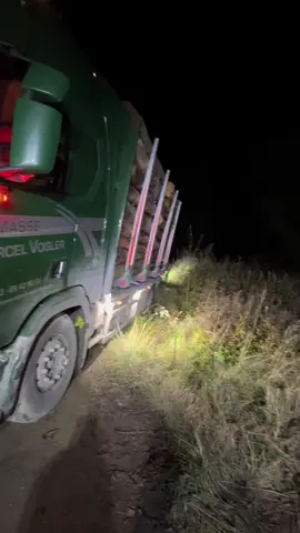 Das war es wieder mit frühen Feierabend 🫣😬#holztransportistdergeilstesport #waldliebe🌲🦌🌳 #theonlylife #kämpfenstattaufgeben #orangelightclub🇳🇱🚨🤙 