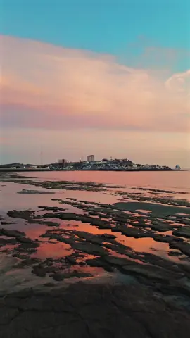 @Visit Puerto Peñasco @Visitsonora 