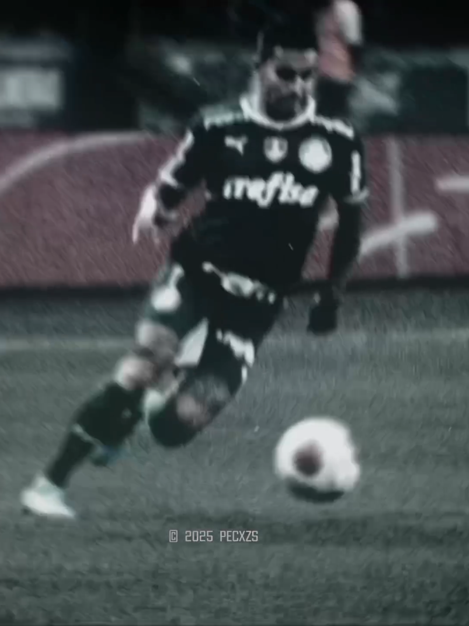 Baixola era brabo.ㅤㅤㅤㅤㅤㅤㅤㅤㅤㅤㅤㅤㅤㅤㅤㅤㅤㅤ#palmeiras #dudu #hardstyle #atleticomineiro