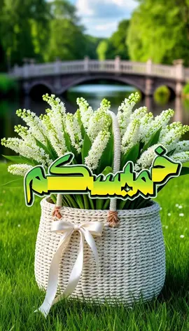 #حالات #ستوريات #خميسكم #صباح_الخير #يارب 