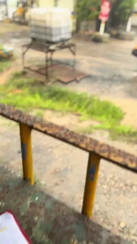 😇