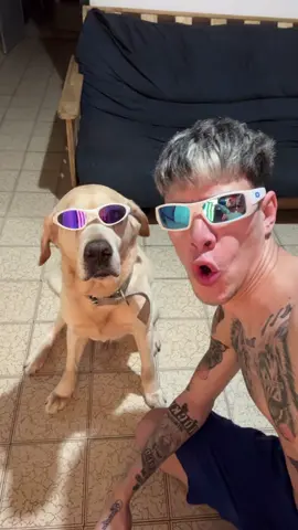 PAAAATITA VIEEEEJO ROCKY 🐶🐾😂 • • • • • • • • • • #dogtok #perrostiktokers #memestiktok #perros #fyppppppppppppppppppppppp 