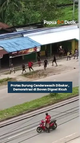Papua60detik -  Aksi unjuk rasa yang digelar sejumlah elemen masyarakat di Kabupaten Boven Digoel, Papua Selatan, pada Rabu (22/10/2025) siang, berujung ricuh dan menimbulkan kerusuhan di beberapa titik di wilayah Kota Tanah Merah, ibu kota kabupaten tersebut. Kericuhan tersebut awalnya merupakan bentuk protes terhadap kegiatan pemusnahan maket dan spesimen Burung Cenderawasih yang dilakukan oleh Balai Konservasi dan Habitat Daerah (BKHDA) pada hari sebelumnya.  Menurut polisi, situasi berubah tegang setelah aksi damai tersebut diduga disusupi sekelompok orang tak dikenal yang kemudian melakukan penyerangan terhadap aparat keamanan, perusakan kendaraan, dan penjarahan di sejumlah toko di sekitar Kota Tanah Merah.  Baca selengkapnya di www.papua60detik.id