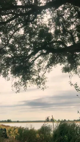 #CapCut LLEGAREMOS LEJOS EN EL EN NOMBRE DE JESÚS🙏AMEN🙏❤️#DIOS#fipシ#JESUS#god#diosesmipastorynadamefaltara🙌🏻#reflexiones #diosdevictoria🙏 #viral?videotiktok🙏🙏 #paratiiiiiiiiiiiiiiiiiiiiiiiiiiiiiii #forever🙏♥️😢🙏🌍🇺🇸🇬🇹🇲🇽🇺🇸🇲🇽🇬🇹🇳🇮🇪🇨🇵🇪🇵🇦🇭🇳🇨🇺🇸🇻🇵🇷🇨🇴 