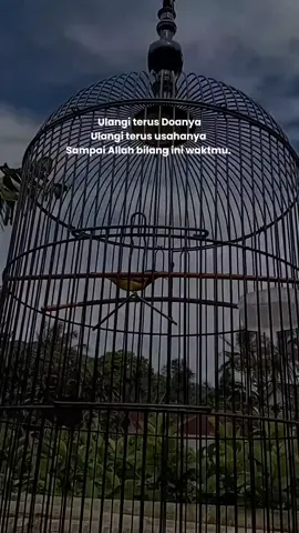Bismilah #CapCut #sogongacor  #persatuansogonindonesia  #fyp 