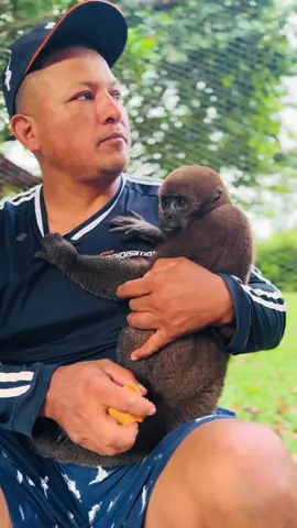 RESPETO POR  LOS ANIMALES #naturaleza #animalista #ambientalista #fauna #paratiiiiiiiiiiiiiiiiiiiiiiiiiiiiiii @gelem @🌵🦌💚𝘾𝐋Є𝗠モƝͲ𝐈⃨ƝɅ💚🦌🌵 @🐠🇭🇳Carlo5🇭🇳 @zeusyhwh @LÜNÌTA🇪🇨🇺🇲❤️♾️🙏 @@Fredy A.Rojas @ABEL🍀🙏🏾ELNEGRO 🍀🙏🏾 