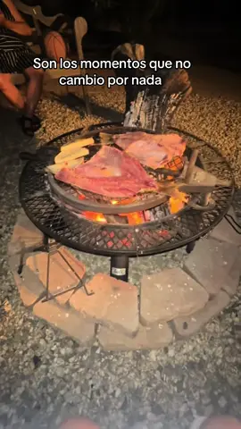 Estos son momentos que no cambio por nada #balioitdoorepit #fogata #carneasadaenlapartilla #eloteitosasados 