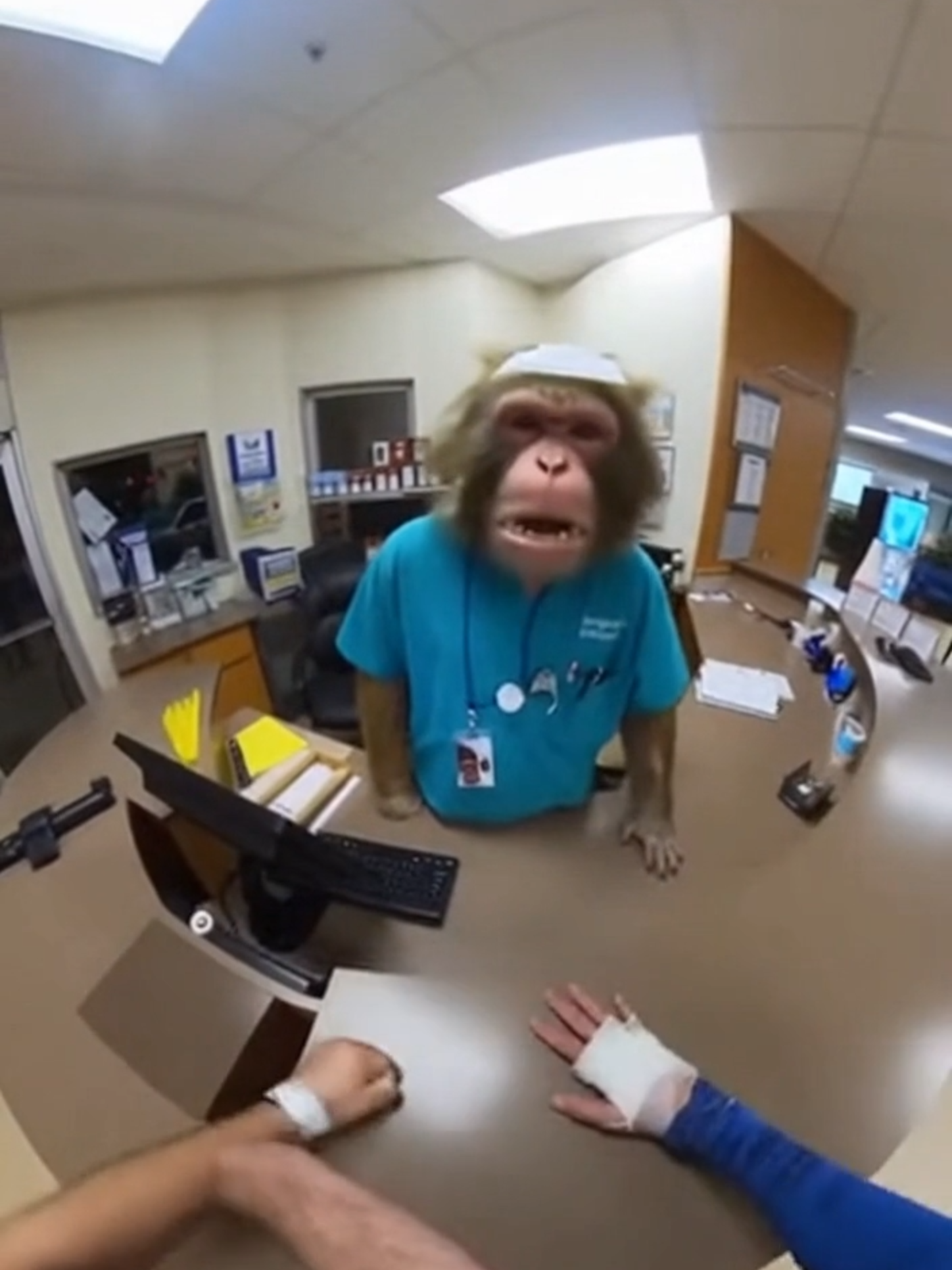 NAAAH WTF IS THAT THIRD ARM?? SORA 2 😭💀 #sora2 #sora #soraai #fypシ #FYP #funny #animals #fyp #comedy #ai #FunnyAI #memetok #crazy #wtf? #aitiktok #chaos #monkey #monke  SHARE AND FOLLOW IF YOU WANNA SEE MORE!