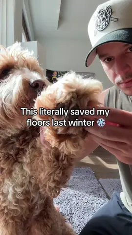 it’s sooo worth it not having to clean my floors every other day 😭 #dogmat #muddymat #dogmom #rug #doglover 