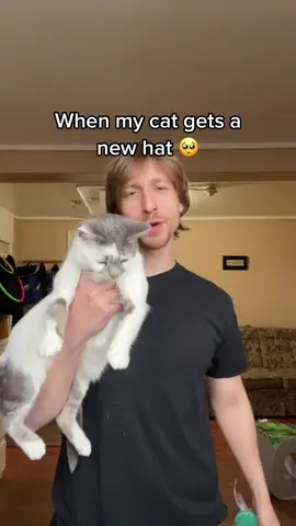 She be looking fresh 😉 #cat #catsoftiktok #funnycats #fyp 
