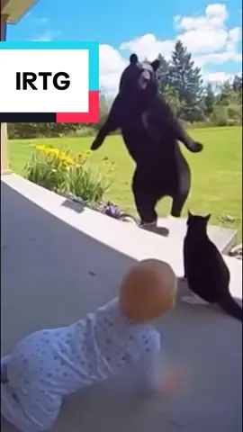 Replying to @2rlrt #littleolejulie #juliescurlers oh this AI stuff REAL or FAKE 😂😂😂😂😂😂😂😂😂