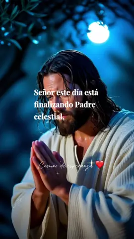 Oración para finalizar el día. Gracias dios por este día que me regalaste🙏  #oracion #oracionespoderosas  #oraciondelanoche  #bendiciones  #buenasnoches 
