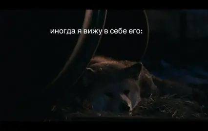 #recommendations #рекомендации #fun #fyp #хатико 