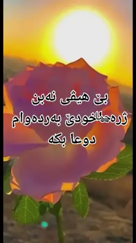 #في هذا اليوم 
