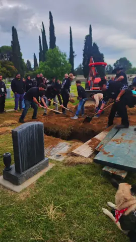 ride in Paradise  Seabas #drunkdriver #justiceforseabas #seabas 