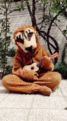 گیان 💔 #CapCut #acc #foryoupage #شێرەکەیبازیان #شێر 