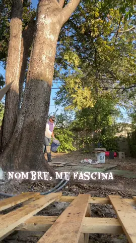 No, y dijo que me iba a dar bonos y ahora que venga el día del pavo, me iba a dar como cinco más aparte $1000, aunque no lo crea, es un mexicano el que me va a dar eso 😎