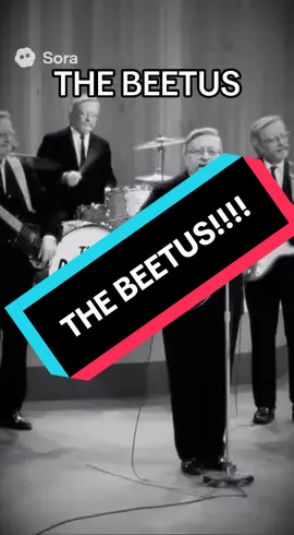 THE BEETUS!!!  #diabeetus #wilfordbrimley #wilfordbrimleydiabeetus #sora #fyp 