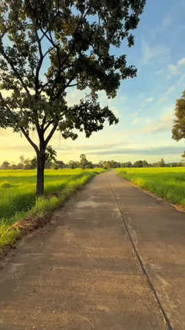 #วิวบ้านนอก🍃 #วิวธรรมชาติบ้านเรา #เธรดท้องฟ้า #เธรดสตอรี่