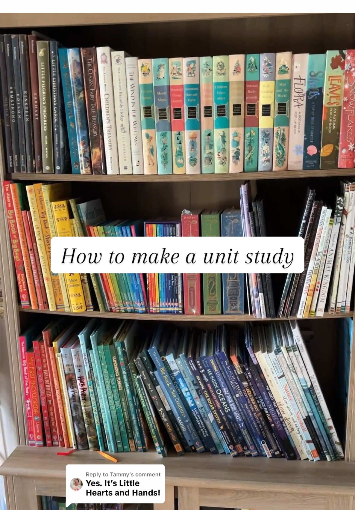 Replying to @Tammy how I make unit studies #homeschool #unitstudy #livingbooks #bookshelf #books 
