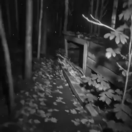 ما قبل الـنوم  . #you #explore #اغاني #اغاني_عراقيه #هواجيس 