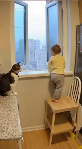 Hero Cat Prevents Tragedy in High-Rise Hom #HeroCat #RealFootage #CatSavesBaby #SecurityCamera #AnimalInstincts #BreakingNews  