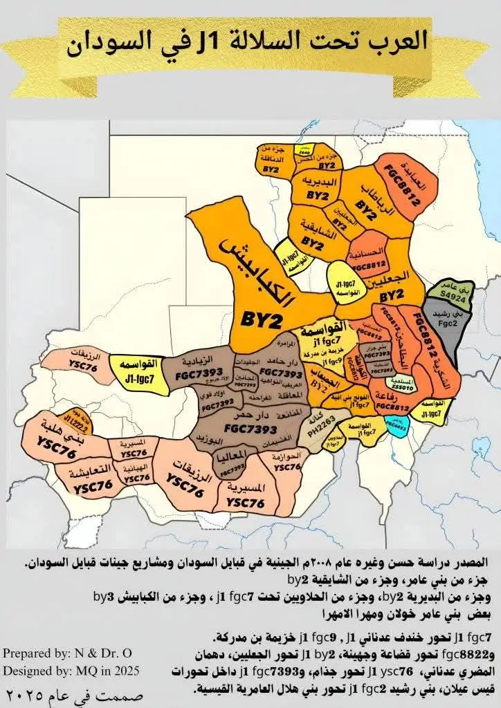 #الطمبور_صديقنا_وعزنا_وملجأنا🎶🎼 #الشايقيه 