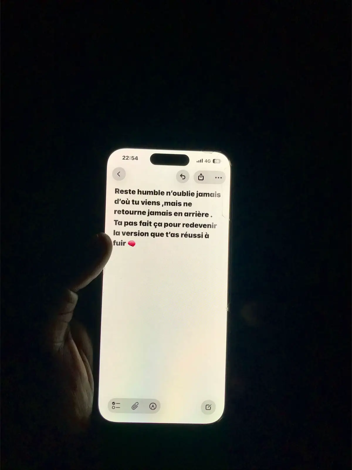 #dictondujour #motivation #confianceensoi #pulsion #perceverance 