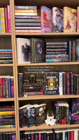 arin of nizahl supremacy #thejasadheir #thejasadcrown #BookTok #BookRecommendations #fantasy 