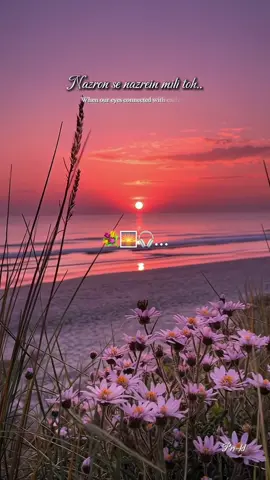 Nazron se nazrein mili toh..🌅💐🎧… #bollywoodsong #fypシ゚ #viralvideos #sonunigam #shukranallah 