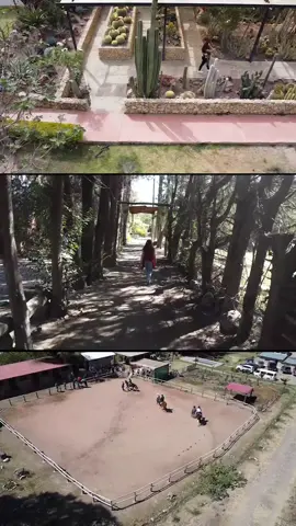 🎥✨ 3 lugares que debes visitar en Cochabamba 🇧🇴 🐴 Compony – Pairumani Disfruta de la naturaleza y vive la experiencia de montar a caballo en un entorno increíble 🌿 🌵 Cajti Jardín Un santuario con más de 1000 especies de cactus 😍 perfecto para fotos y conexión con la naturaleza 📸 🐾 Agroflori Un Bioparque donde cuidan animales y educan sobre su conservación 💚 💫 Cochabamba tiene lugares únicos por descubrir 👉 ¡Síguenos en Facebook para conocer más destinos como estos! 🌄 #Cochabamba #TurismoBolivia #Naturaleza #Aventura #ViajaPorBolivia 