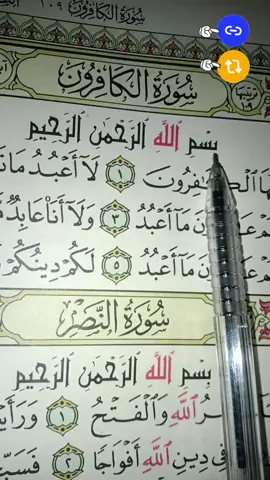 #islamic_video #catsoftiktok #fypシ゚viral 