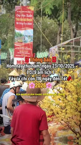 Đếm ngược Tết thôi, vibe Xuân tới rồi🤗🧧🌸#tetnguyendan2026🧧🎆🧨 #thinhhanh #fyp #xuhuong #CapCut 