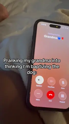 #fyp #dogsoftiktok #prank 