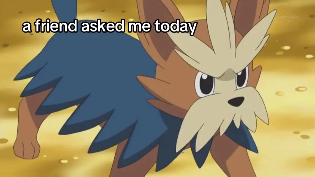 my buddy forever so i'll always use a herdier when i see one for him to always be by my side and so i never forget him inspired by @Camophlo  #fyp #pokemon #dogloss #dog #schnauzer 