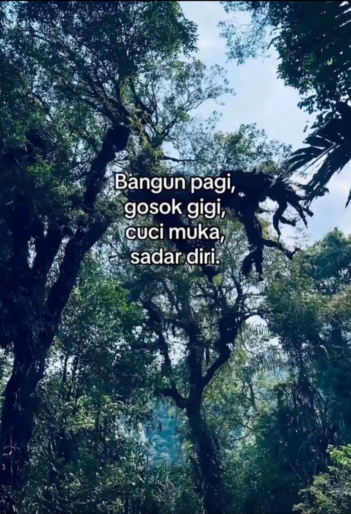 🙇🏻‍♀️ 