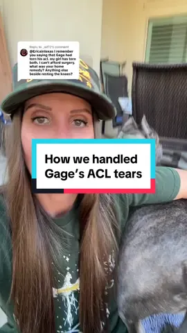 Replying to @_nif72 hope this helps! Sorry to hear you’re going through the same thing! #dogsoftiktok #xlbully #americanbully 