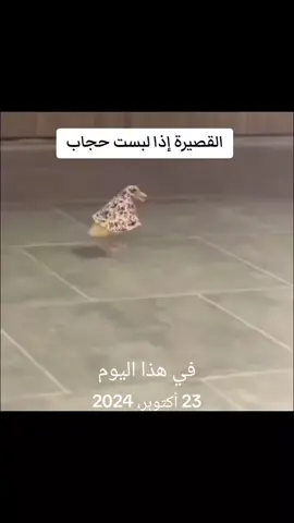 #في هذا اليوم