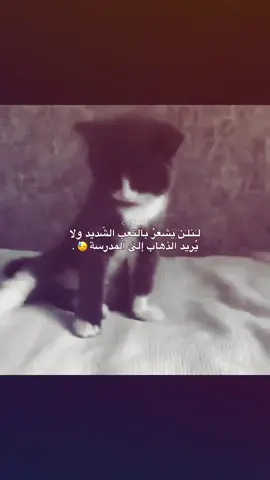 😓😓. #العراق #مدرسة #رابع_علمي #امتحانات #لـَنلـَن.